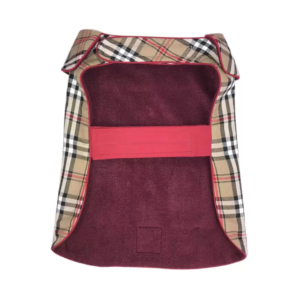 Scottish by Doggy Doo Little