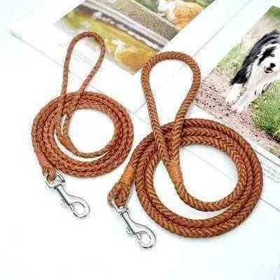 Stylish Dog Lead 🐾-1