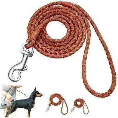 Stylish Dog Lead 🐾-4