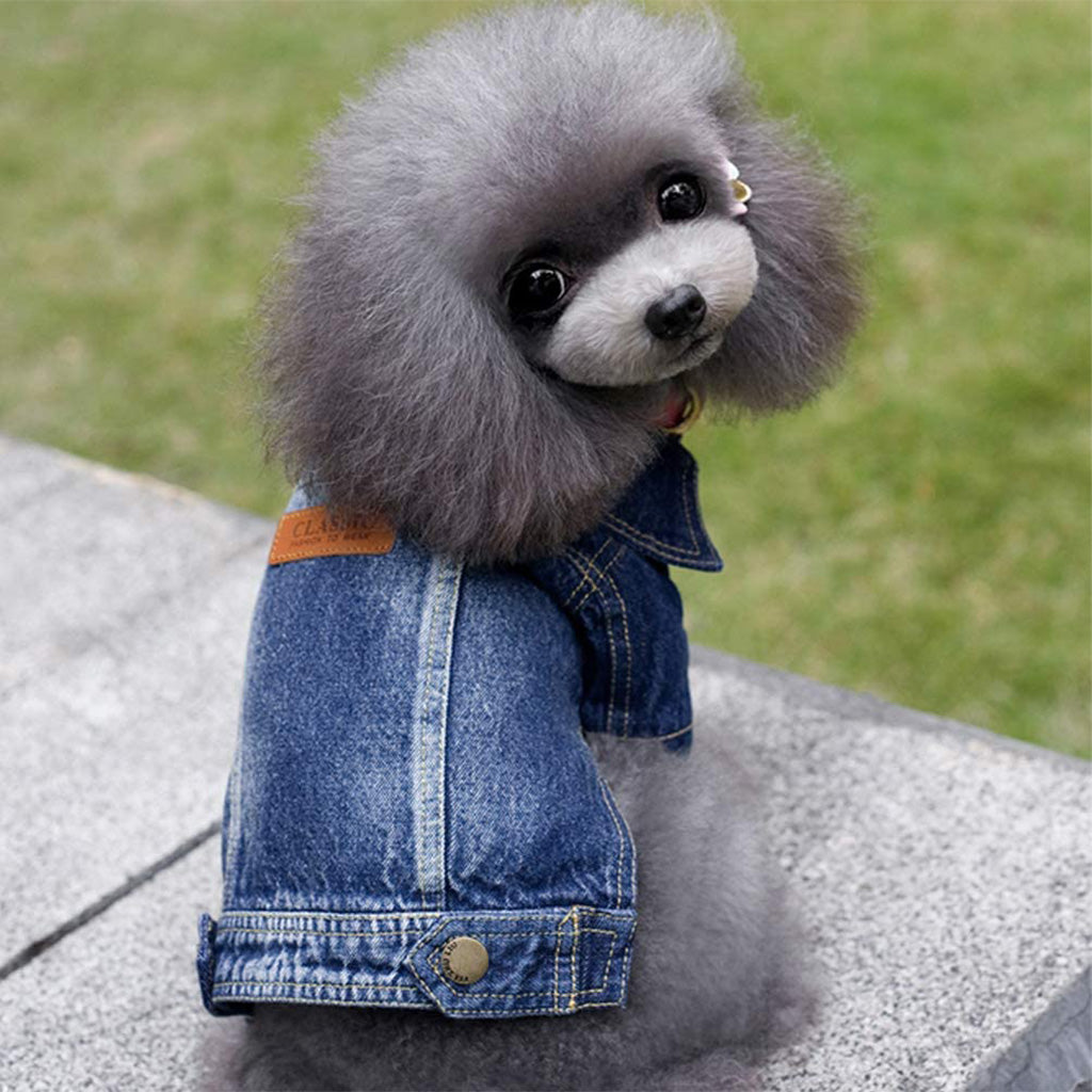 Acid Denim Dog Jacket by Doggy Doo Little