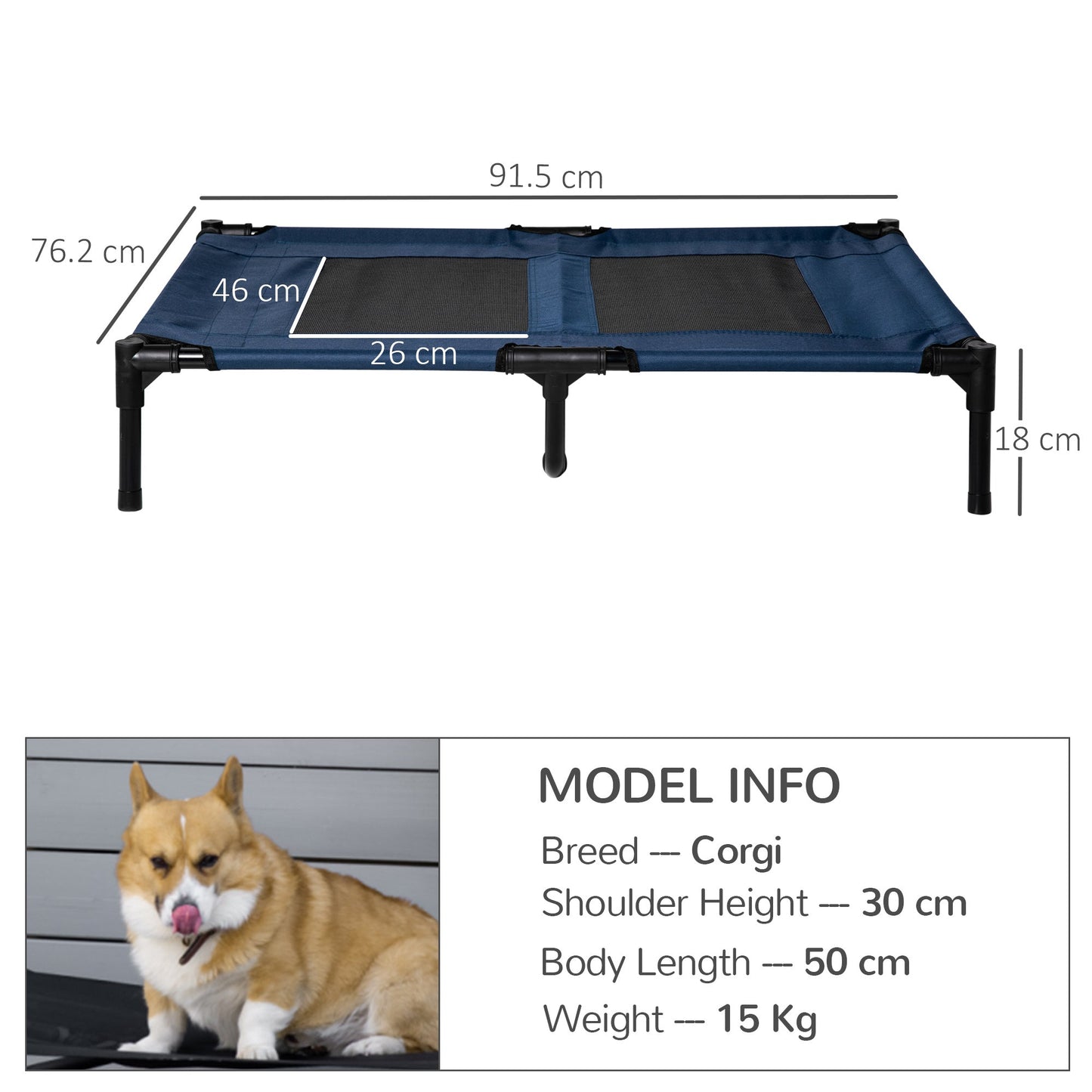Elevated Portable Dog Bed with Sturdy Support - Blue
