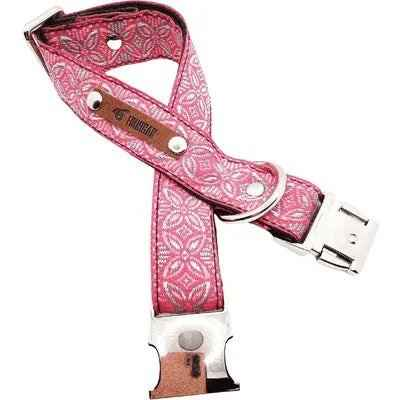 Finnigan's Regal Designer Dog Collar Set-3